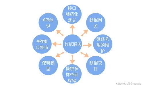 數據服務的內涵 超越API的綜合性數據處理服務